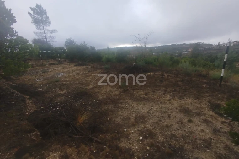 Quinta T2 para Venda em Mangualde, Mesquitela e Cunha Alta Foto 25