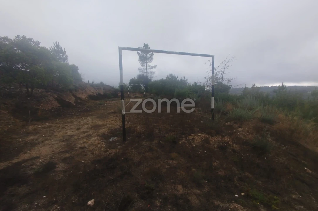 Quinta T2 para Venda em Mangualde, Mesquitela e Cunha Alta Foto 25