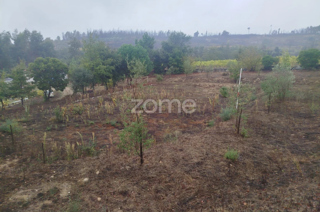 Quinta T2 para Venda em Mangualde, Mesquitela e Cunha Alta Foto 30