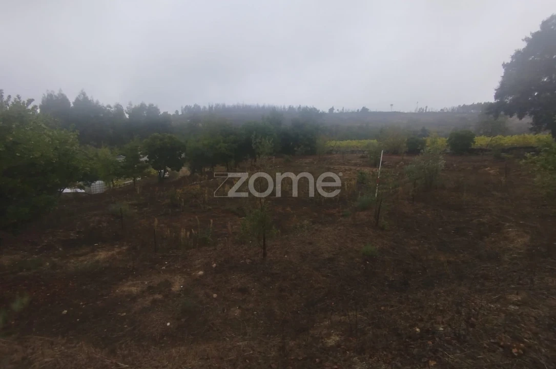 Quinta T2 para Venda em Mangualde, Mesquitela e Cunha Alta Foto 34