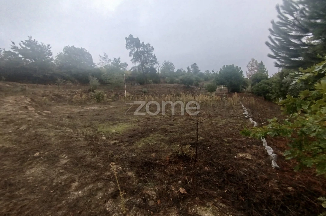 Quinta T2 para Venda em Mangualde, Mesquitela e Cunha Alta Foto 36
