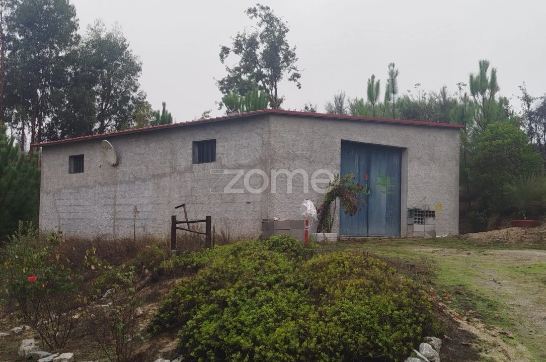 Quinta T2 para Venda em Mangualde, Mesquitela e Cunha Alta Foto 27