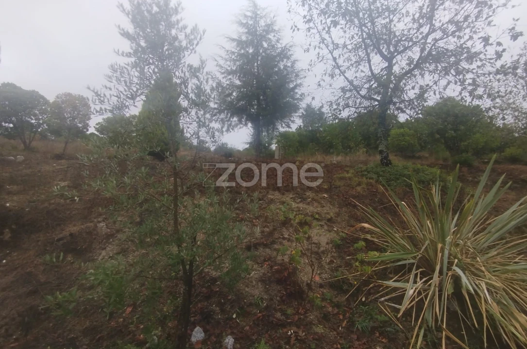 Quinta T2 para Venda em Mangualde, Mesquitela e Cunha Alta Foto 38