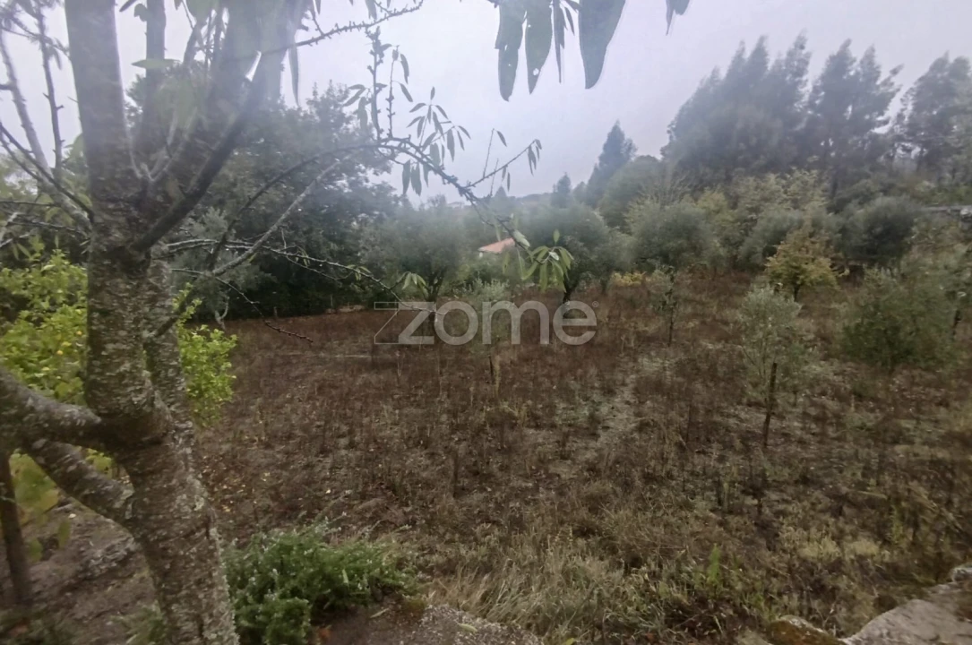 Quinta T2 para Venda em Mangualde, Mesquitela e Cunha Alta Foto 41