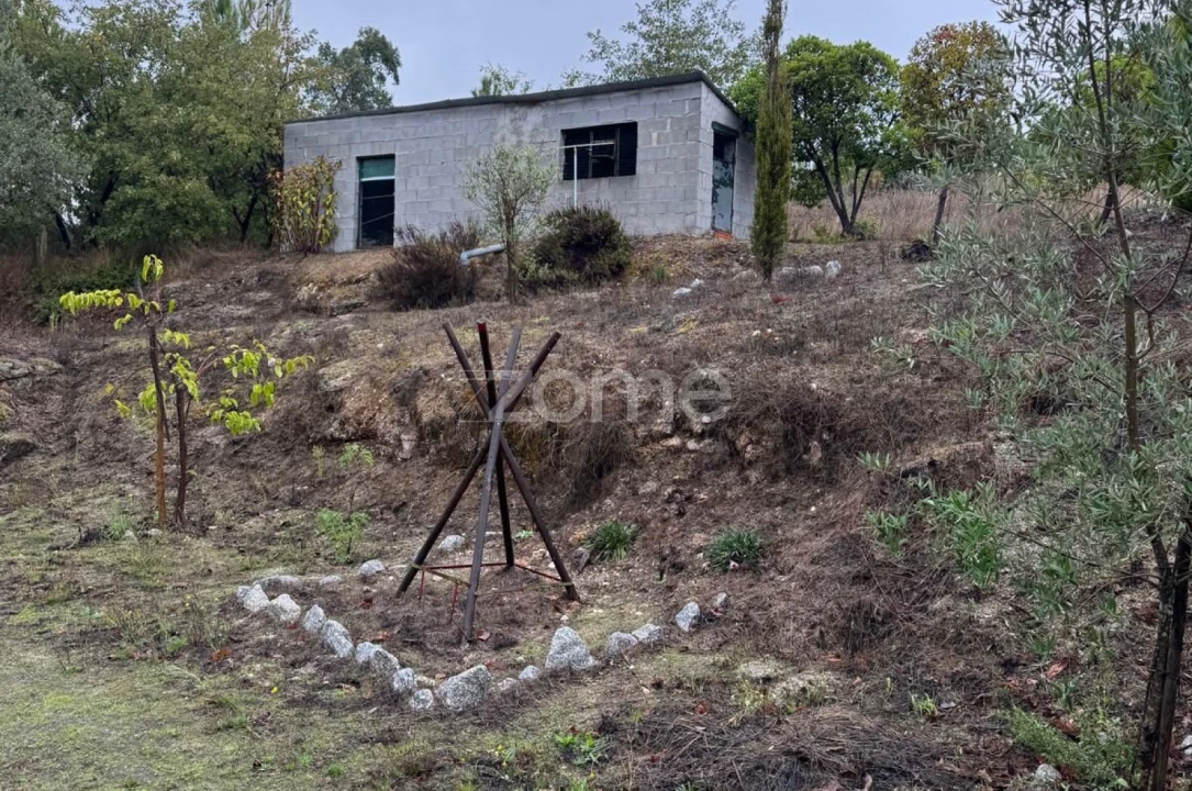 Quinta T2 para Venda em Mangualde, Mesquitela e Cunha Alta Foto 26