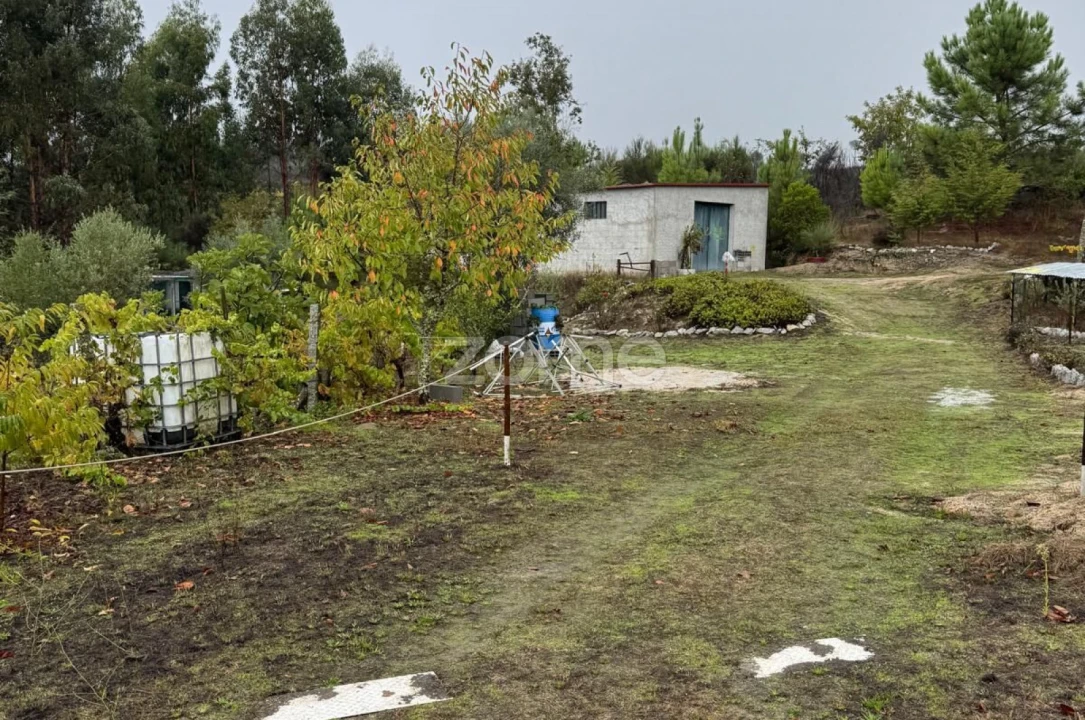 Quinta T2 para Venda em Mangualde, Mesquitela e Cunha Alta Foto 28