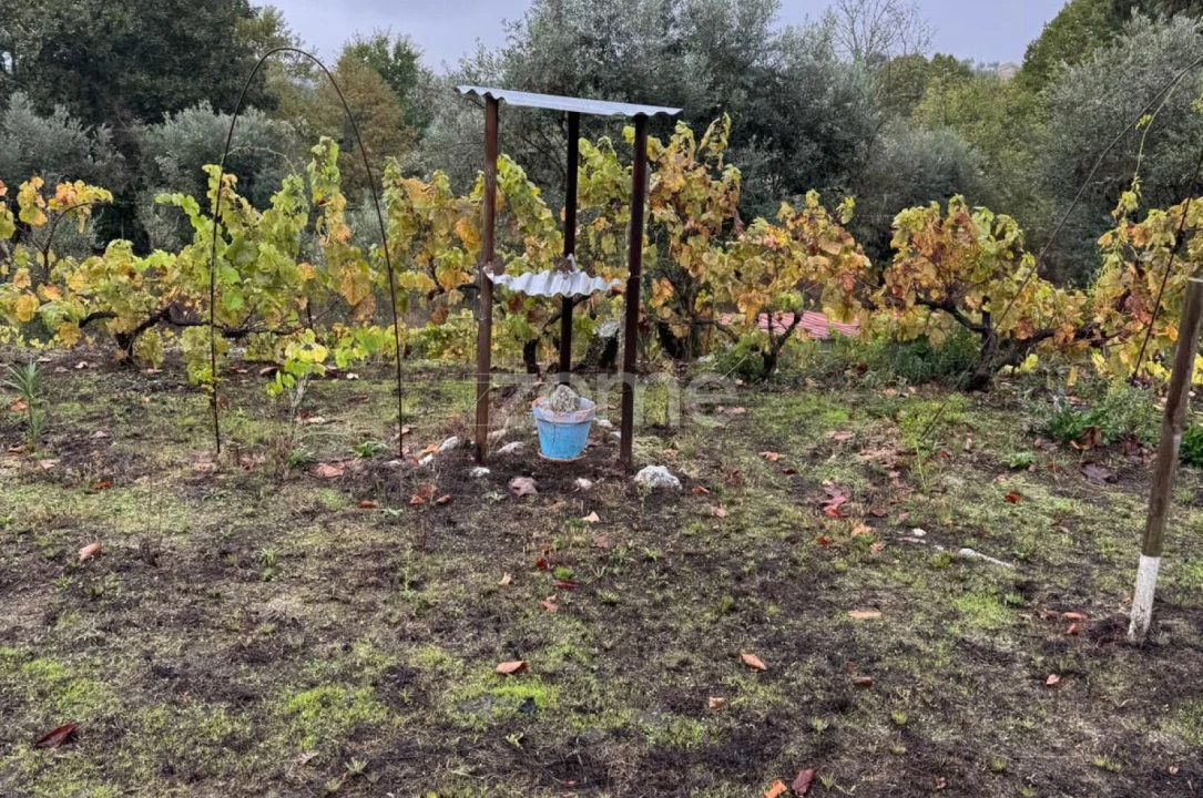 Quinta T2 para Venda em Mangualde, Mesquitela e Cunha Alta Foto 44