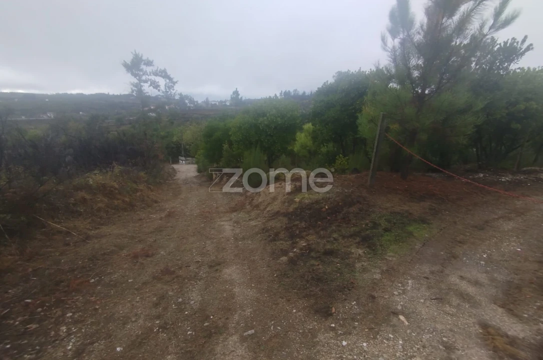 Quinta T2 para Venda em Mangualde, Mesquitela e Cunha Alta Foto 22
