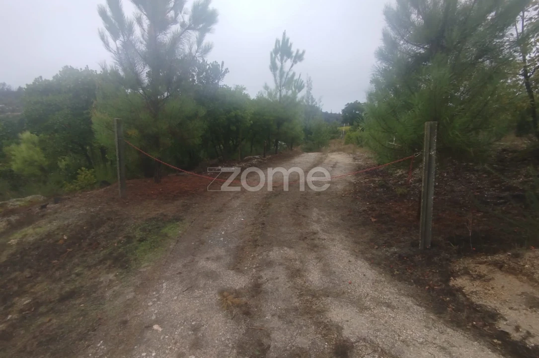 Quinta T2 para Venda em Mangualde, Mesquitela e Cunha Alta Foto 23