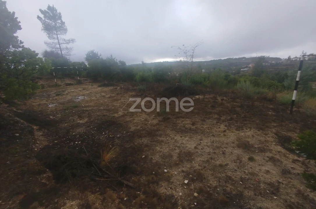 Quinta T2 para Venda em Mangualde, Mesquitela e Cunha Alta Foto 24