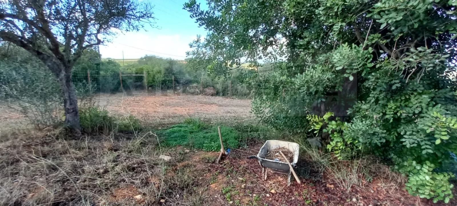 Quinta T2 para Venda em Algoz e Tunes Foto 30