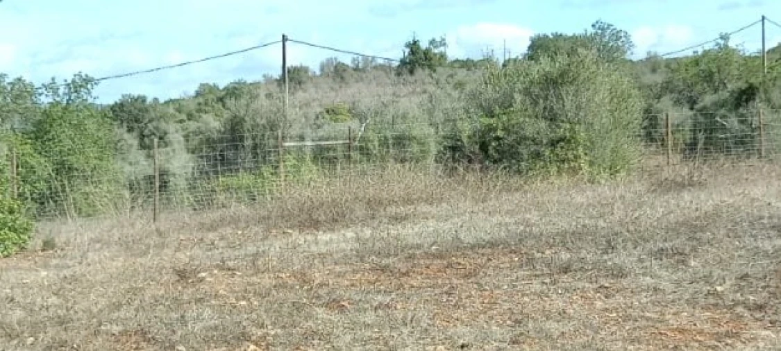 Quinta T2 para Venda em Algoz e Tunes Foto 46