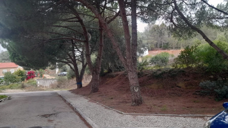 Apartamento T3 para Venda em Castanheira do Ribatejo e Cachoeiras Foto 2