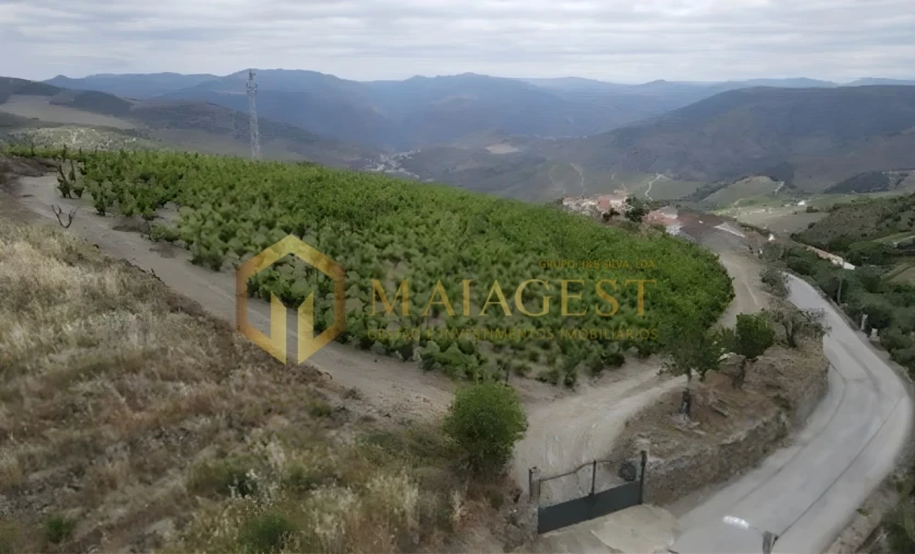 Quinta T6 para Venda em Soutelo do Douro Foto 1