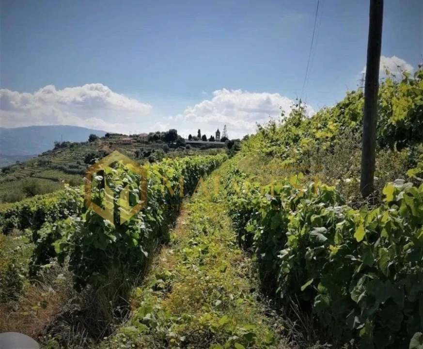 Quinta T4 para Venda em Peso da Régua e Godim Foto 2