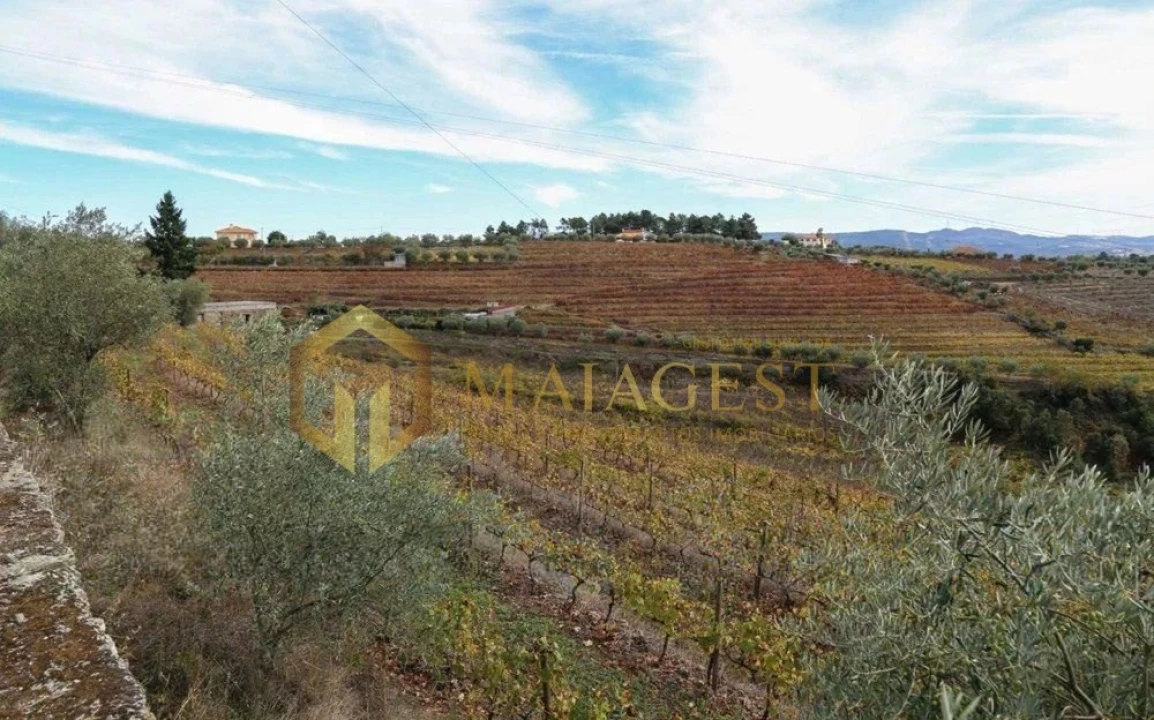 Quinta T4 para Venda em Peso da Régua e Godim Foto 8