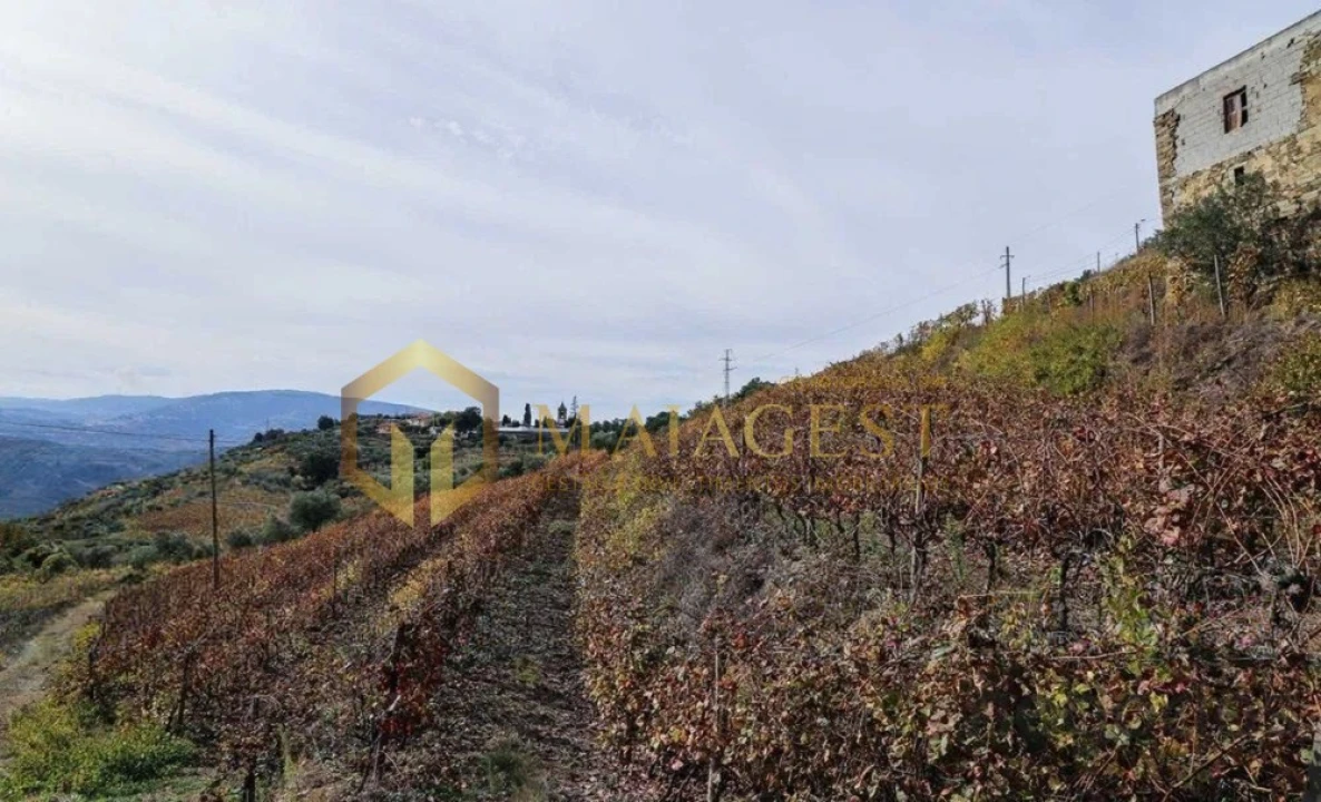 Quinta T4 para Venda em Peso da Régua e Godim Foto 10