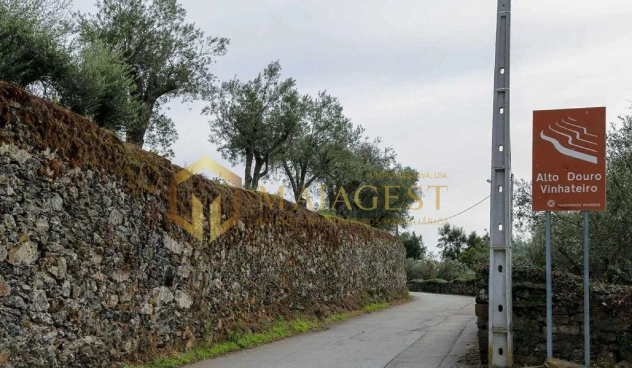 Quinta T4 para Venda em Peso da Régua e Godim Foto 11