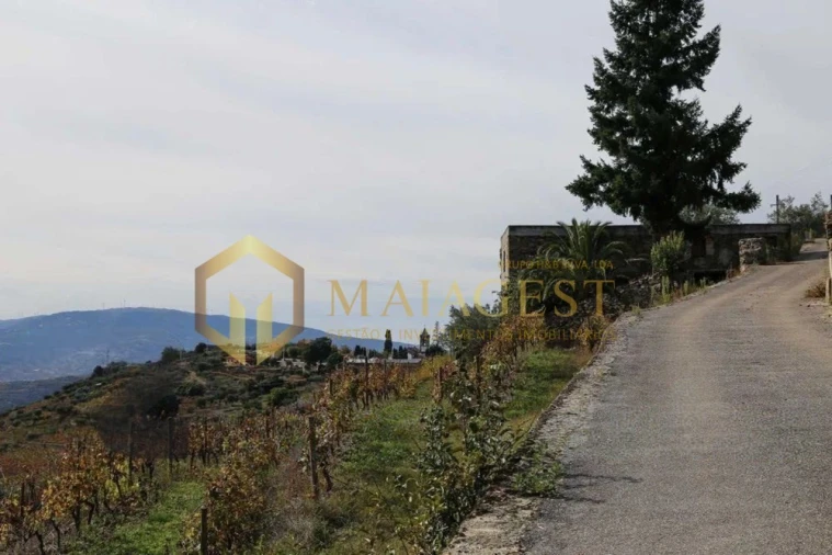 Quinta T4 para Venda em Peso da Régua e Godim Foto 6