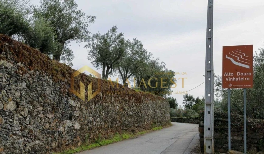 Quinta T4 para Venda em Peso da Régua e Godim Foto 11