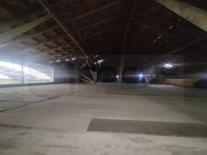 Moradia T4 para Venda em Palhaça Foto 38