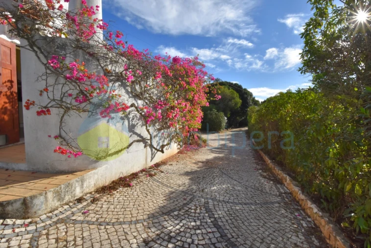 Moradia T3 para Venda em Lagoa e Carvoeiro Foto 46