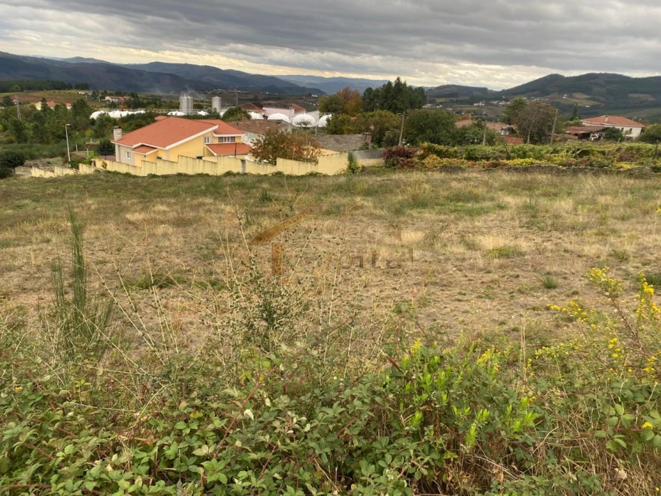 Terreno para Venda em Sabrosa Foto 3