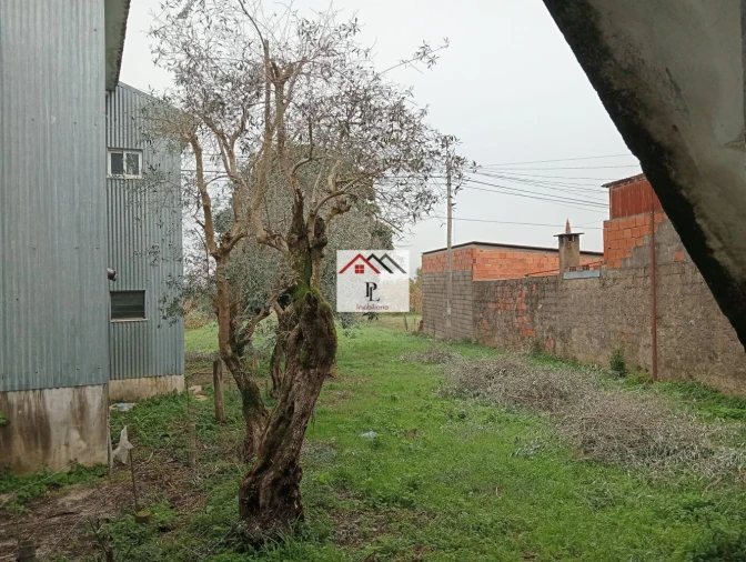 Moradia T3 para Venda em Lousã e Vilarinho Foto 40