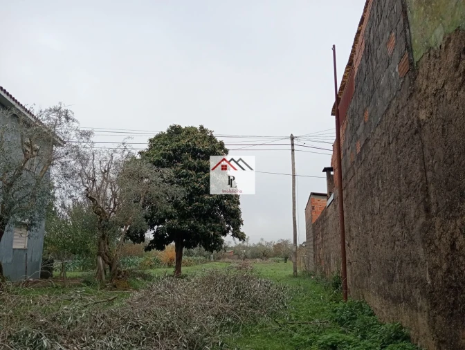 Moradia T3 para Venda em Lousã e Vilarinho Foto 36