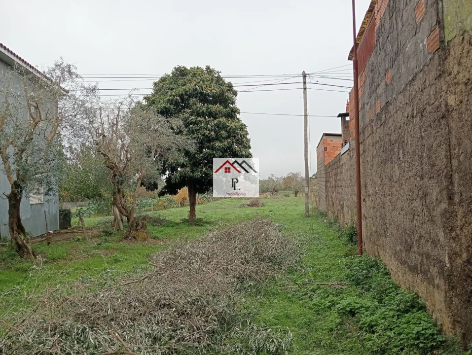 Moradia T3 para Venda em Lousã e Vilarinho Foto 39