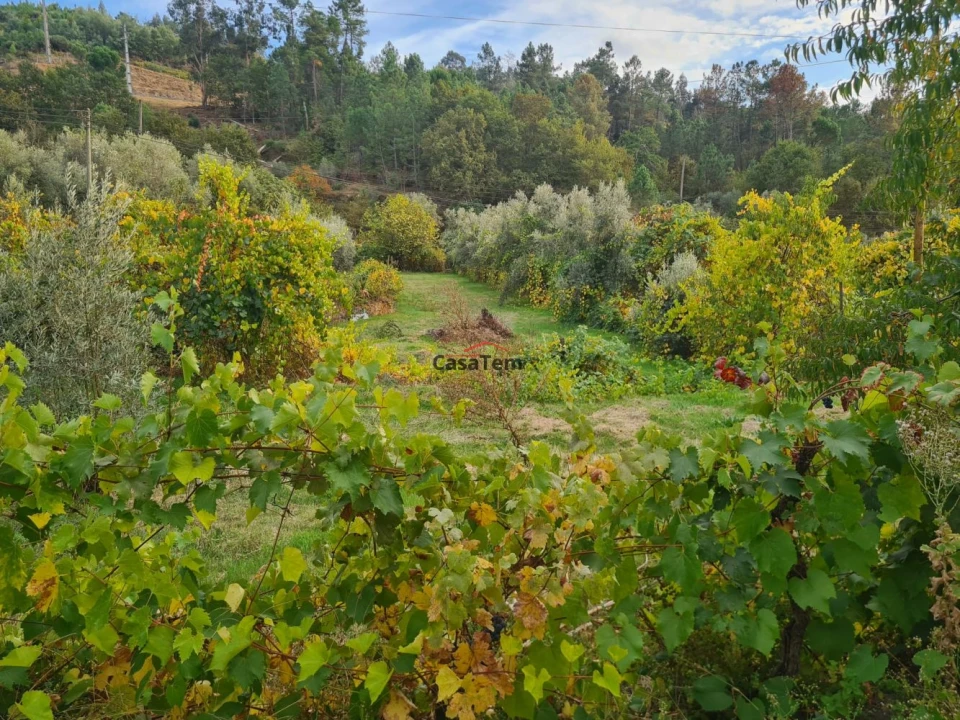 Moradia T3 para Venda em Faíl e Vila Chã de Sá Foto 15