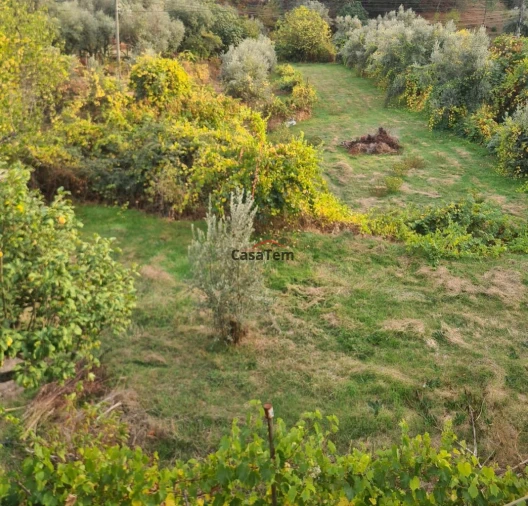 Moradia T3 para Venda em Faíl e Vila Chã de Sá Foto 22
