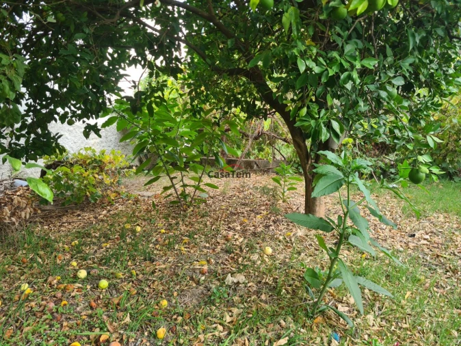 Moradia T3 para Venda em Faíl e Vila Chã de Sá Foto 20