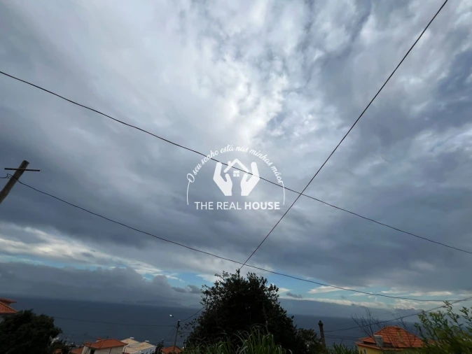 Terreno para Venda em Santa Cruz Foto 10