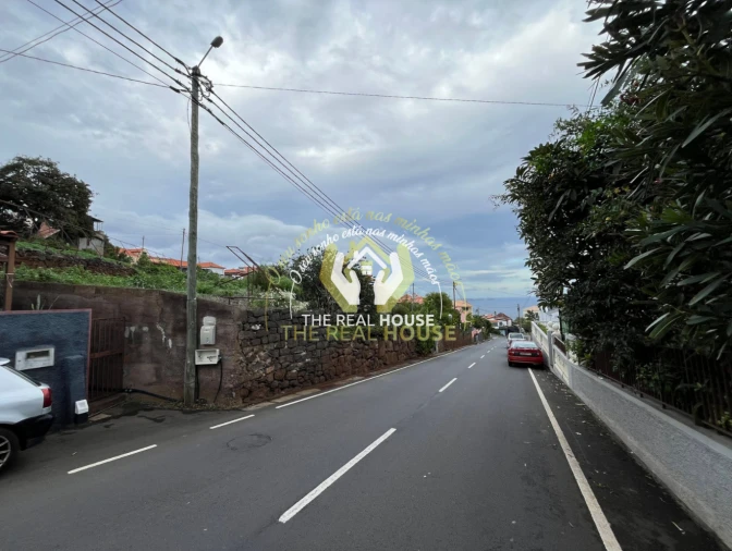 Terreno para Venda em Santa Cruz Foto 4