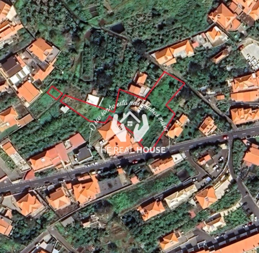 Terreno para Venda em Santa Cruz Foto 11