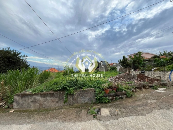 Terreno para Venda em Santa Cruz Foto 9