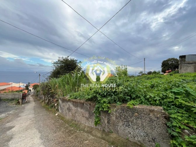 Terreno para Venda em Santa Cruz Foto 10