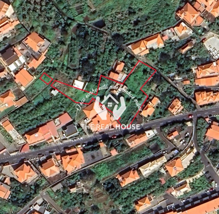 Terreno para Venda em Santa Cruz Foto 11