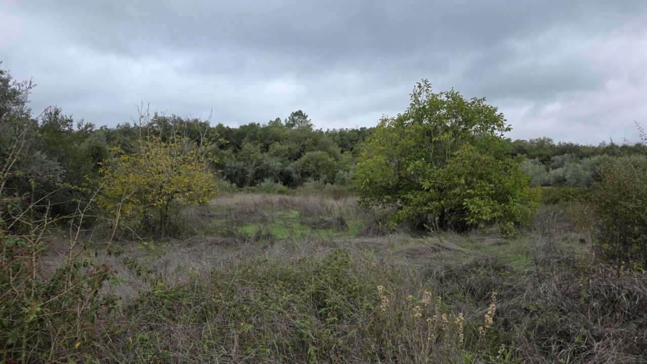 Terreno para Venda em Areias e Pias Foto 16
