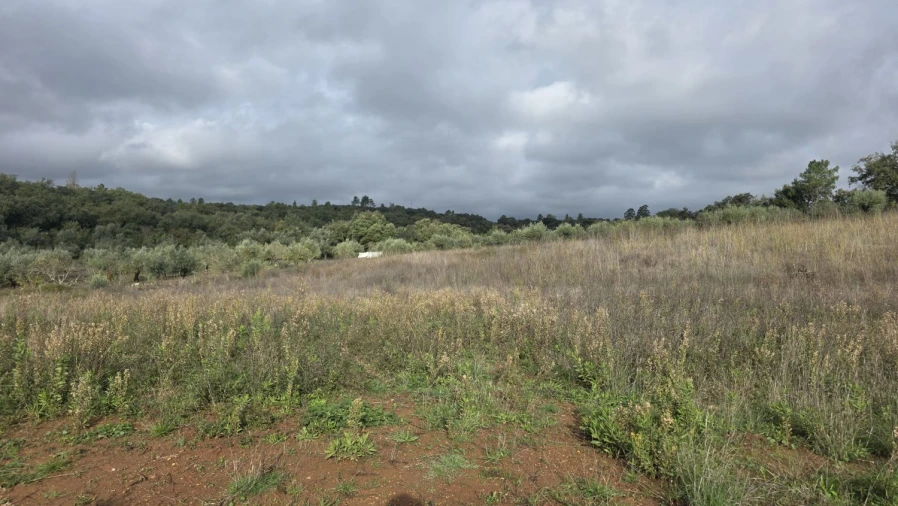 Terreno para Venda em Areias e Pias Foto 11