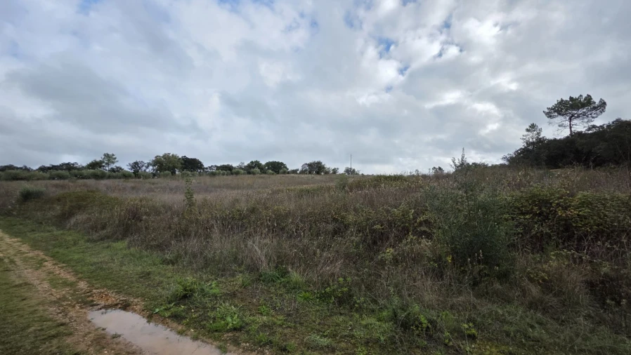 Terreno para Venda em Areias e Pias Foto 22