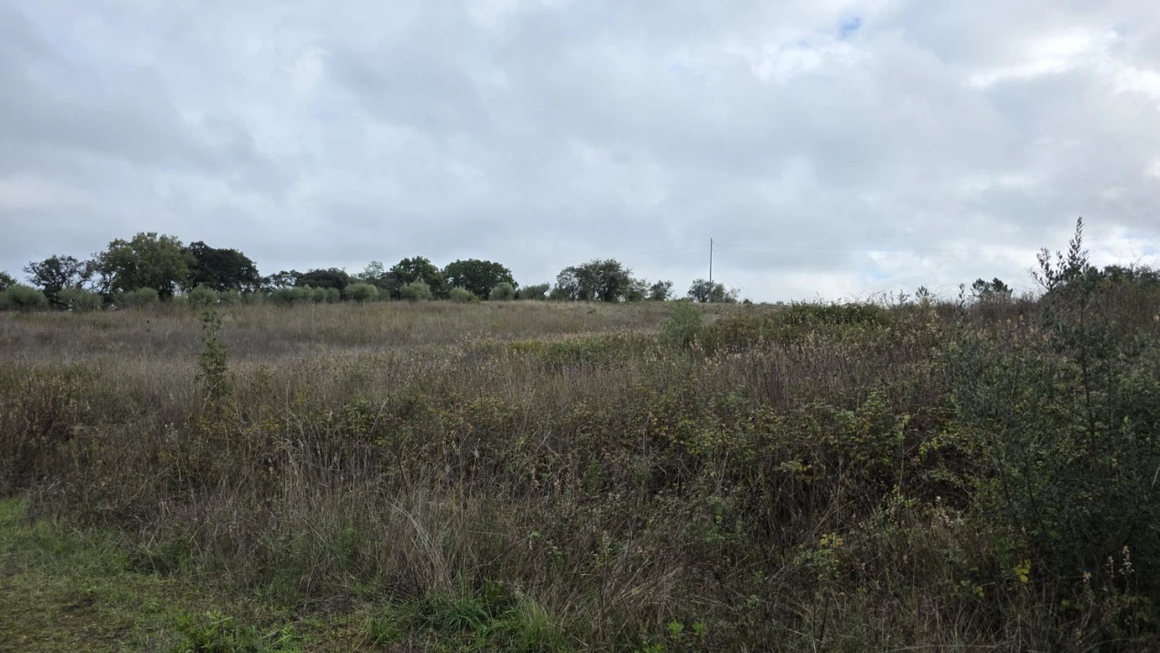 Terreno para Venda em Areias e Pias Foto 12