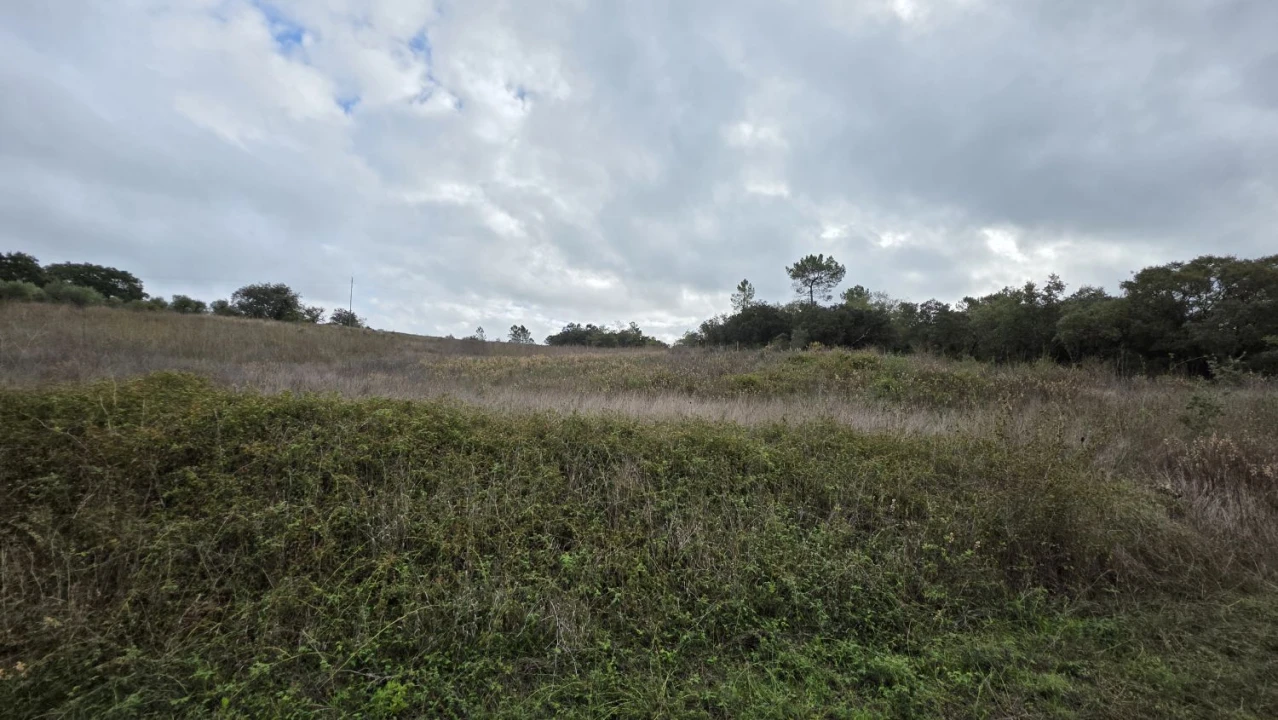 Terreno para Venda em Areias e Pias Foto 10