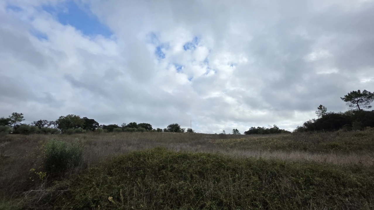 Terreno para Venda em Areias e Pias Foto 25