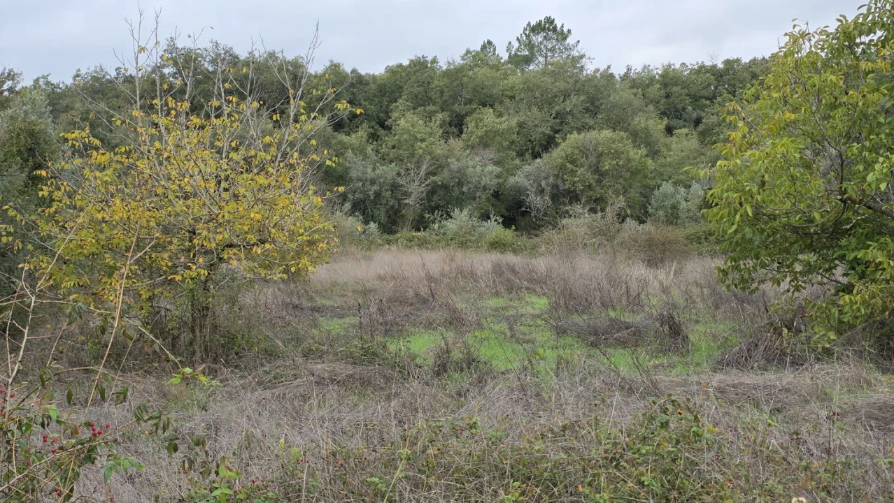 Terreno para Venda em Areias e Pias Foto 8