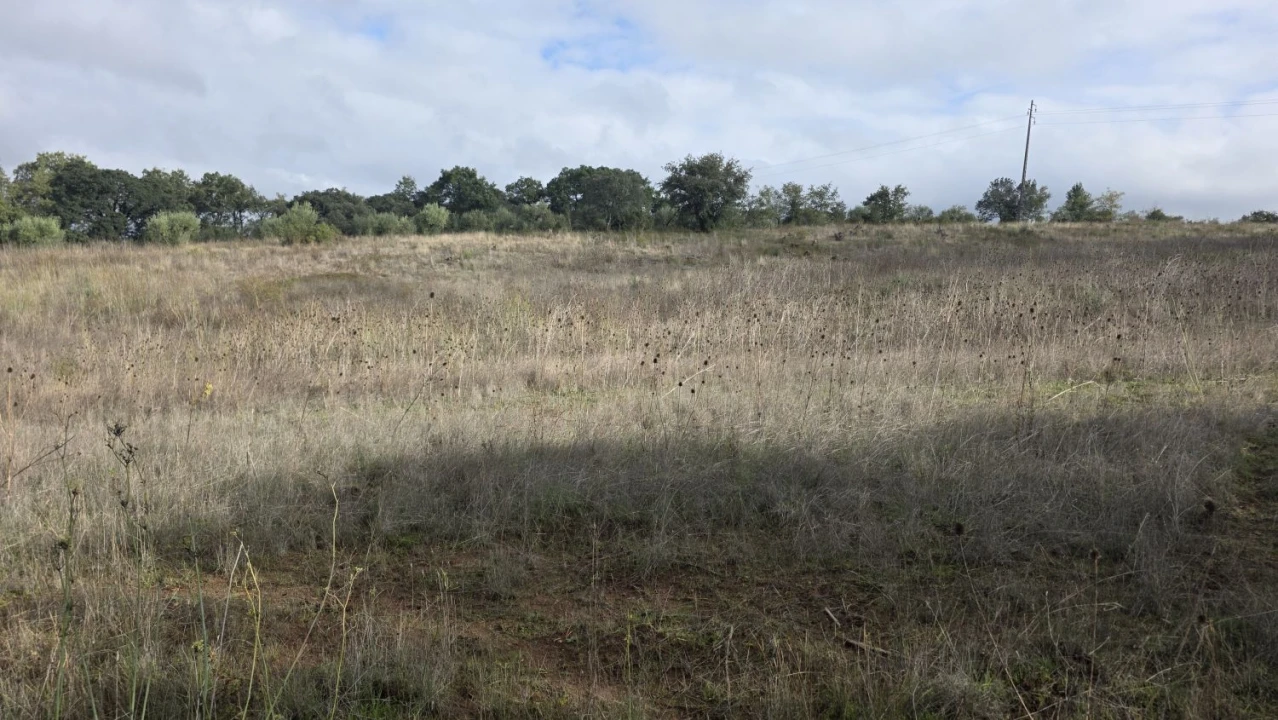 Terreno para Venda em Areias e Pias Foto 5