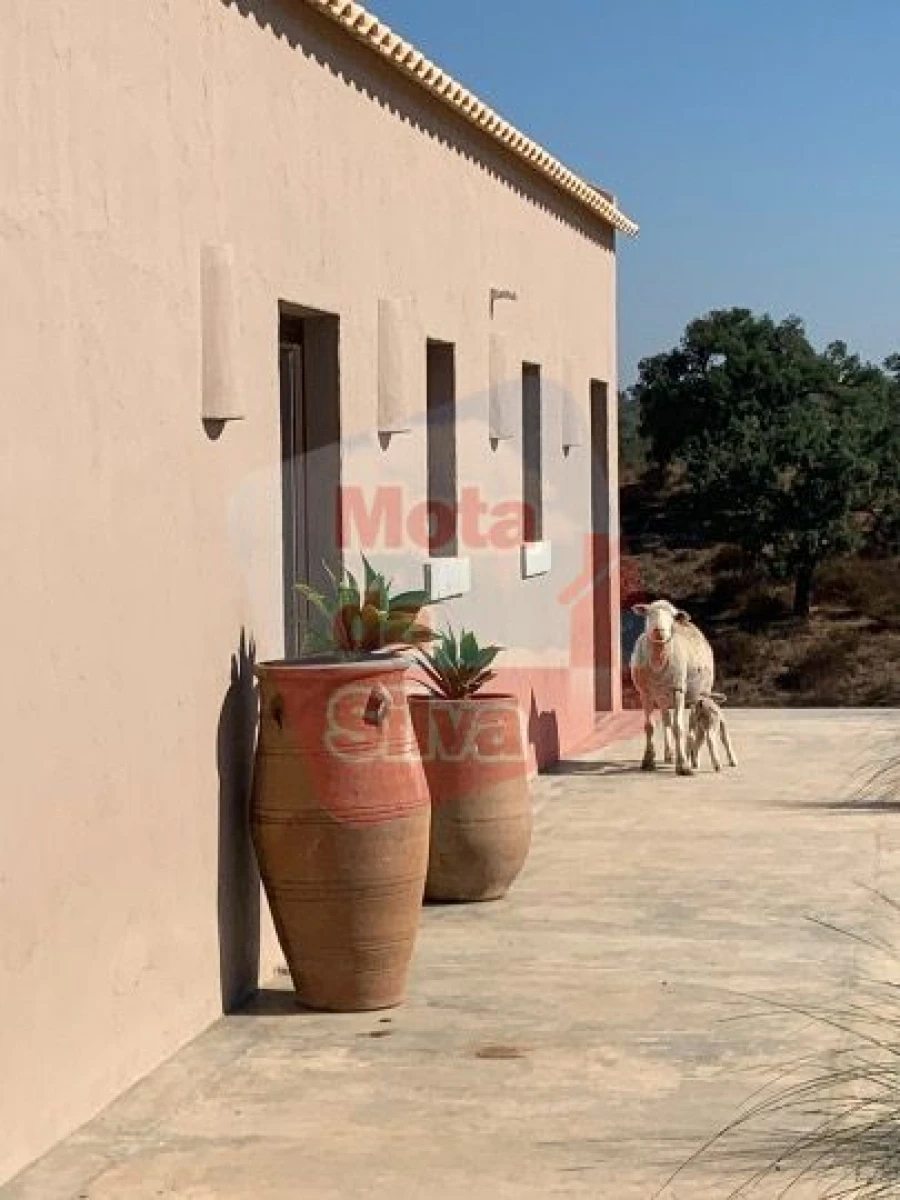 Quinta T2 para Venda em São Francisco da Serra Foto 16