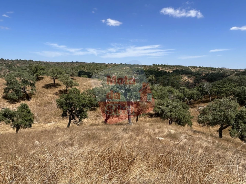 Quinta T2 para Venda em São Francisco da Serra Foto 26