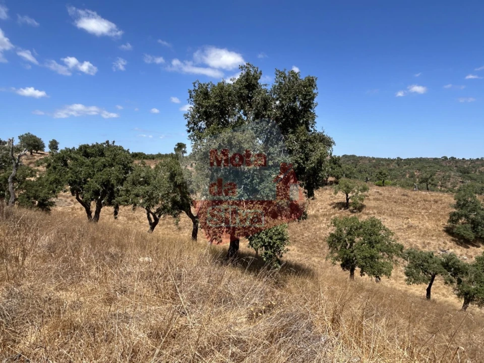 Quinta T2 para Venda em São Francisco da Serra Foto 25